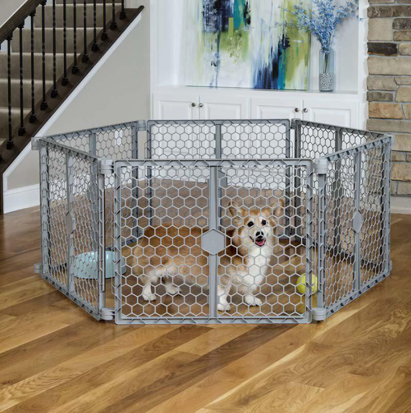PetPal