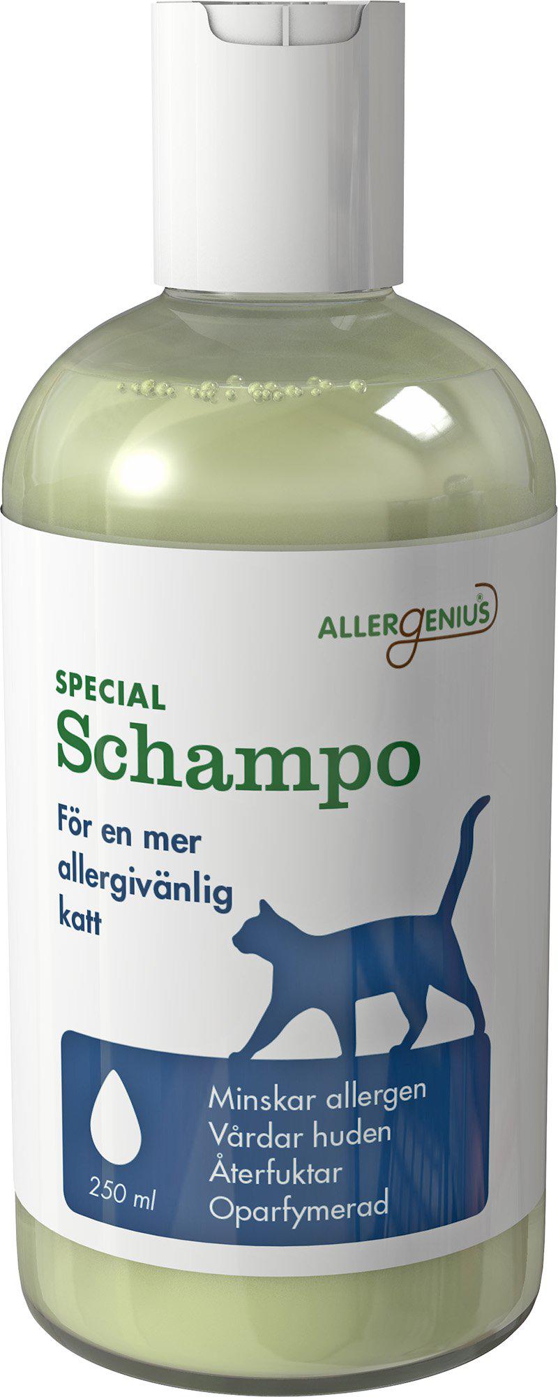 53178408960329_image1