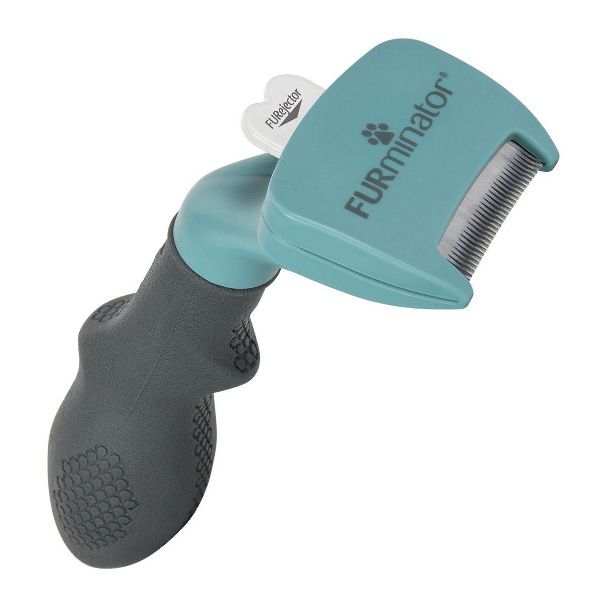 53174701359433_image1