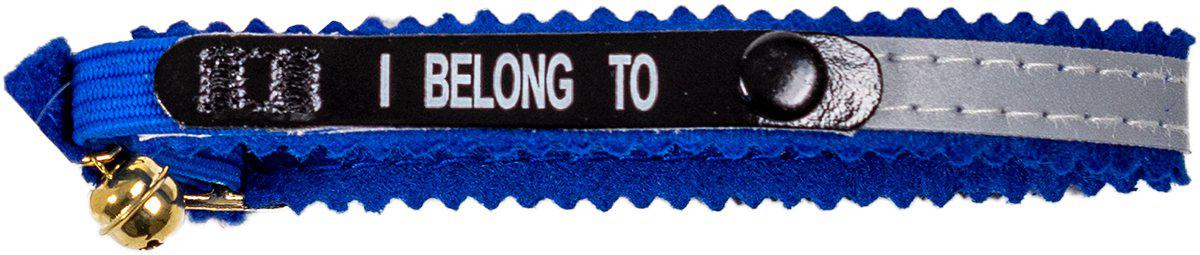 53178781172041_image1