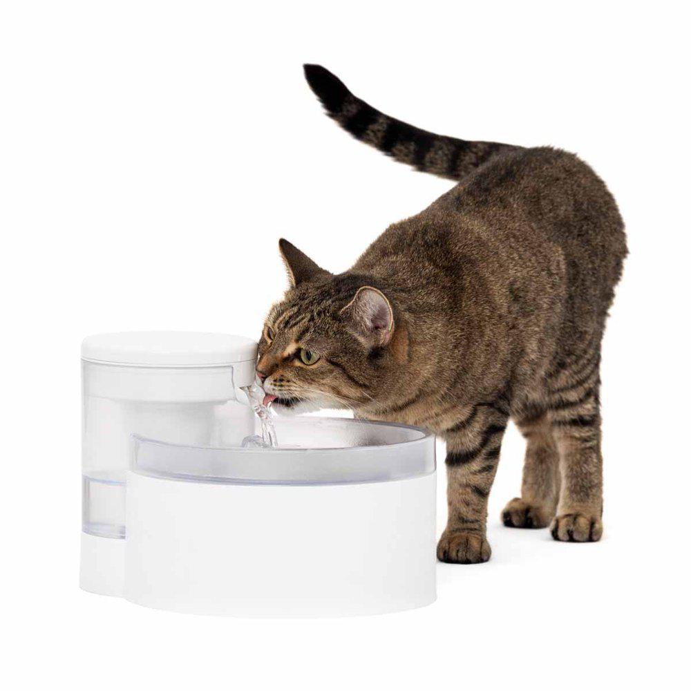 PetPal