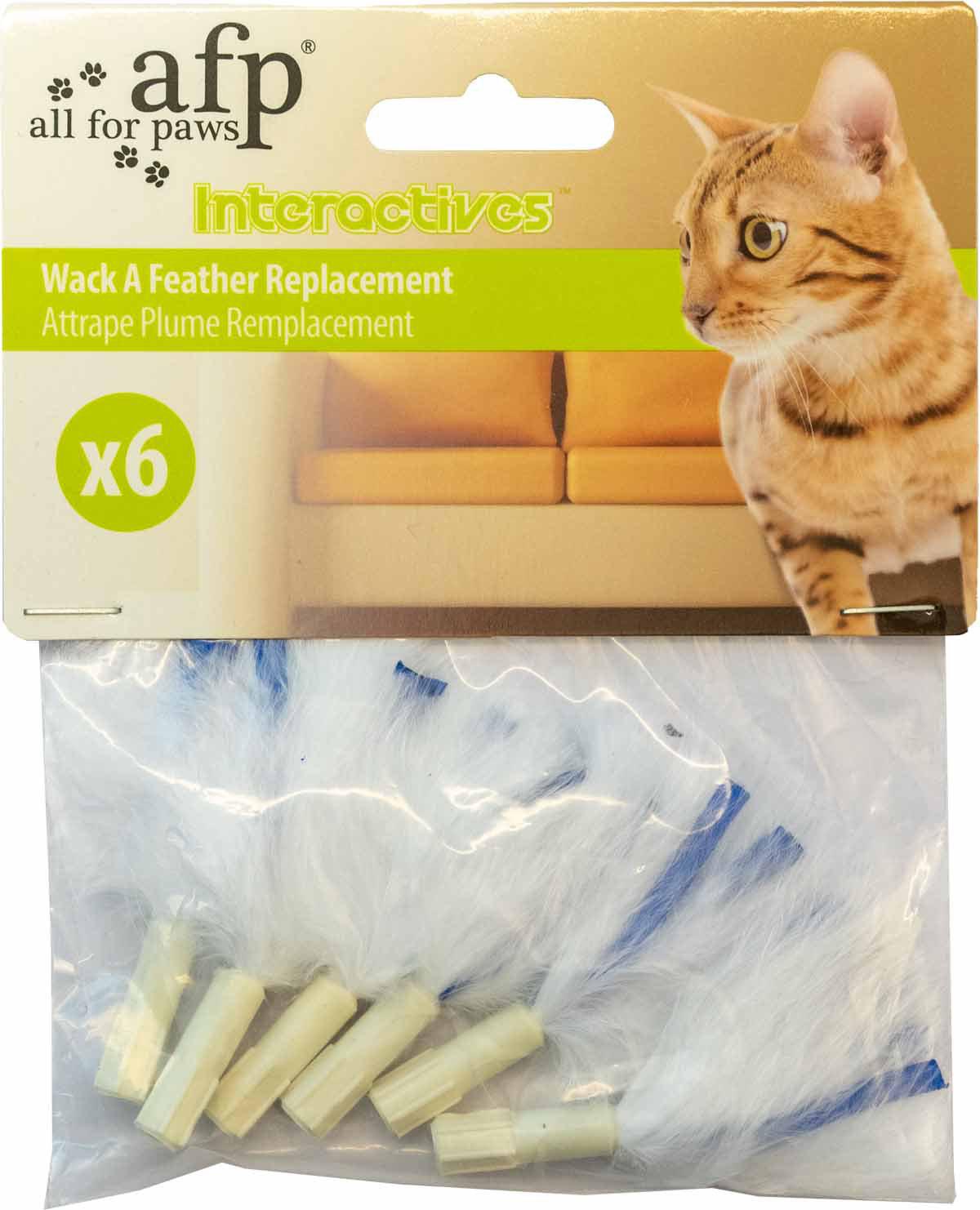 53178569556297_image1