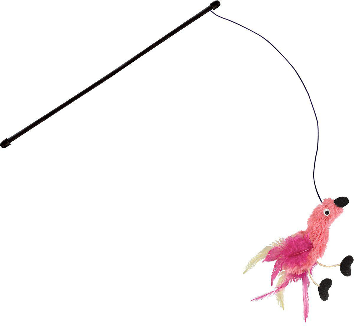 53174159311177_image1