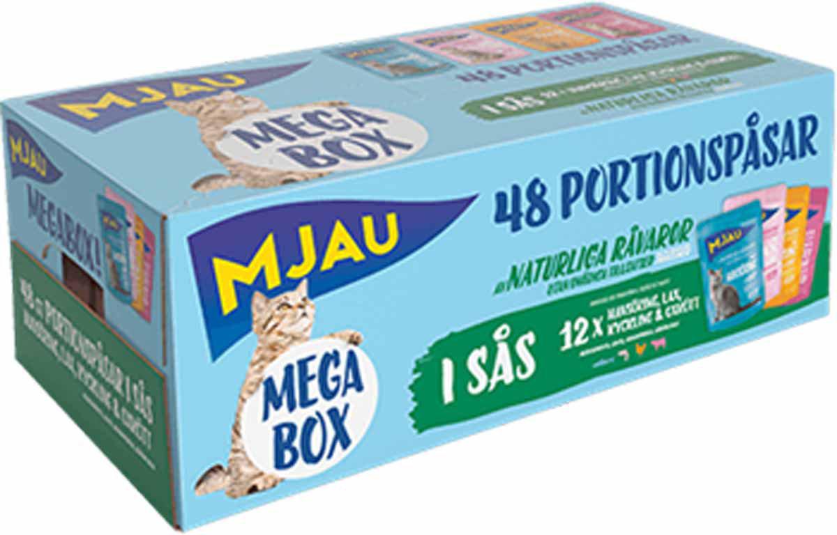 53177495224649_image1