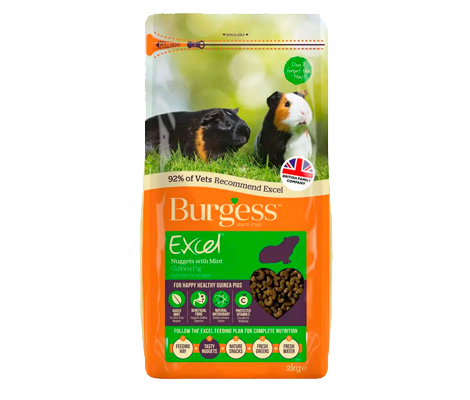 Burgess Excel Marsvin Med Mint-Marsvine Foder-Burgess-PetPal