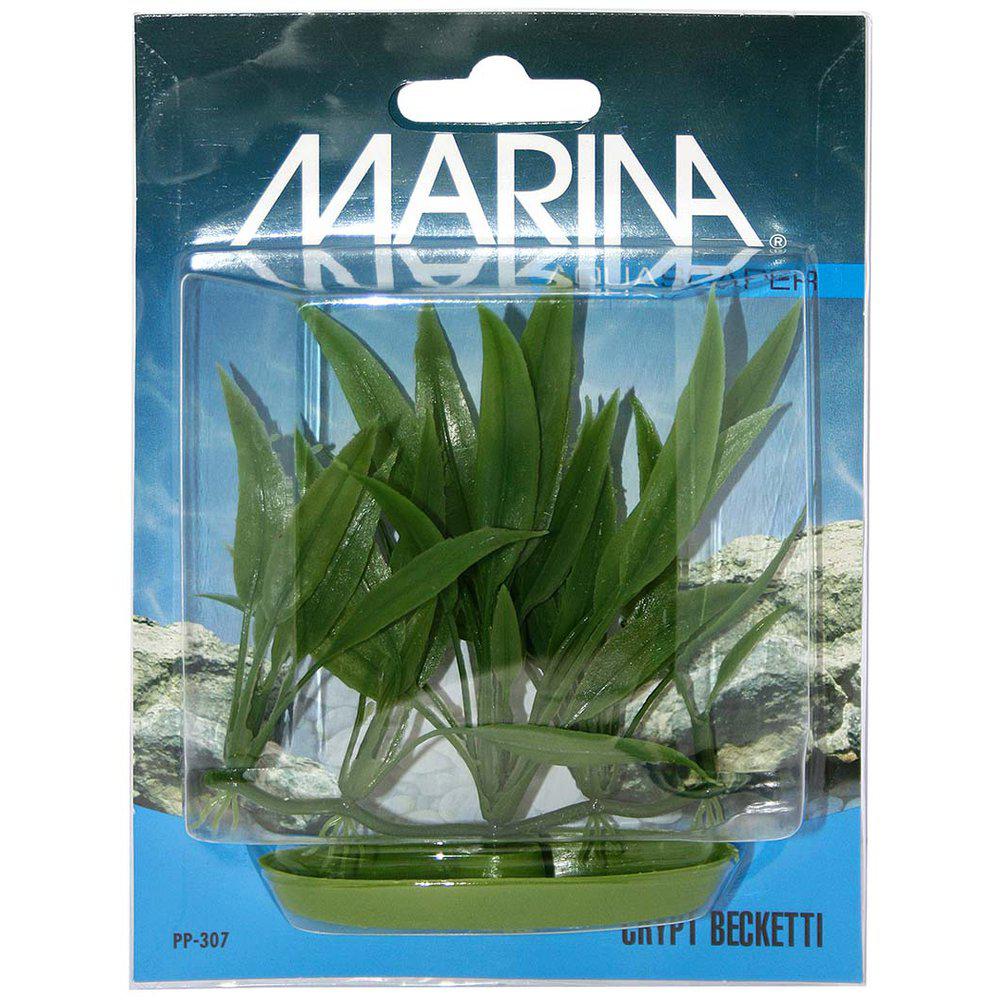 Plast Plante Crypt Beckettii-Akvarieplante Plastik-Marina-PetPal