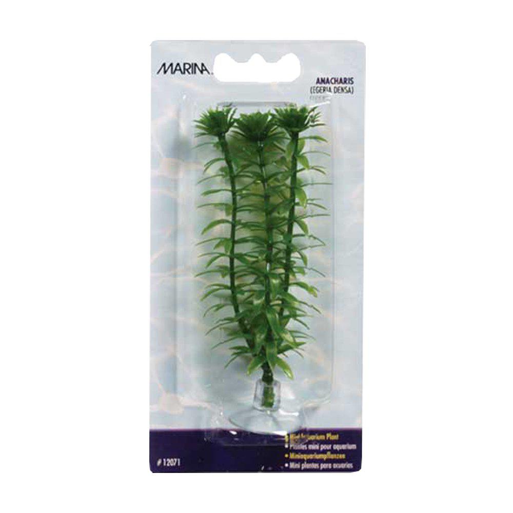 Plast Plante Anacharismini 10Cm Med Sugekop-Akvarieplante Plastik-Marina-PetPal