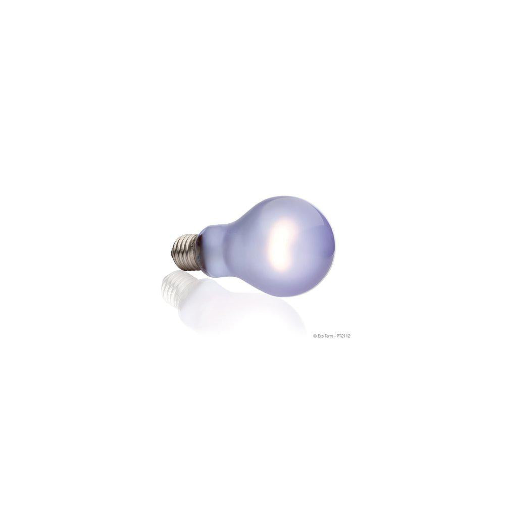 Day Light Lampe 100W A21 E27 Exoterra'Gul'-Terrarie Varmelampe-Exoterra-PetPal
