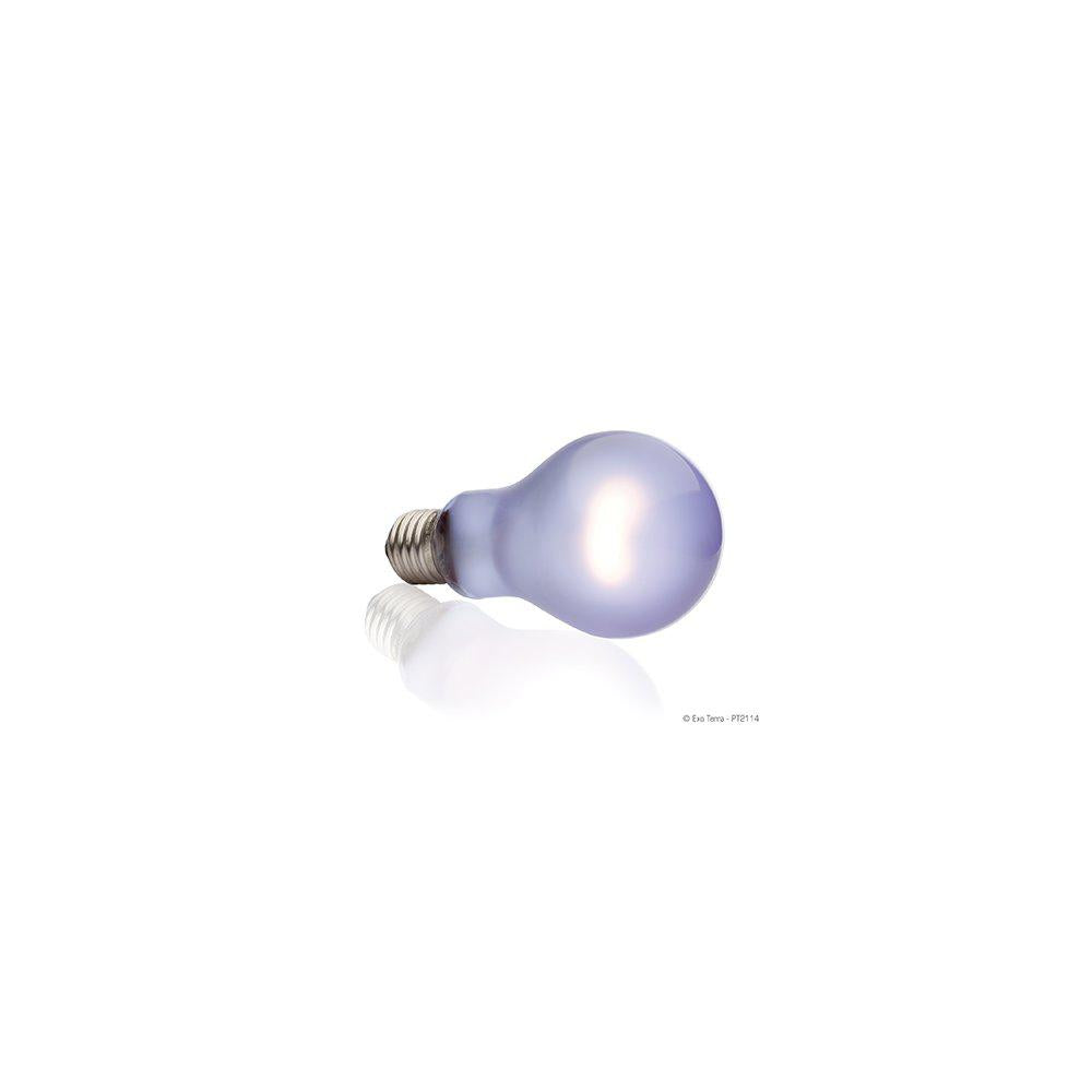 Day Light Lampe 150W A21 E27 Exoterra'Gul'-Terrarie Varmelampe-Exoterra-PetPal