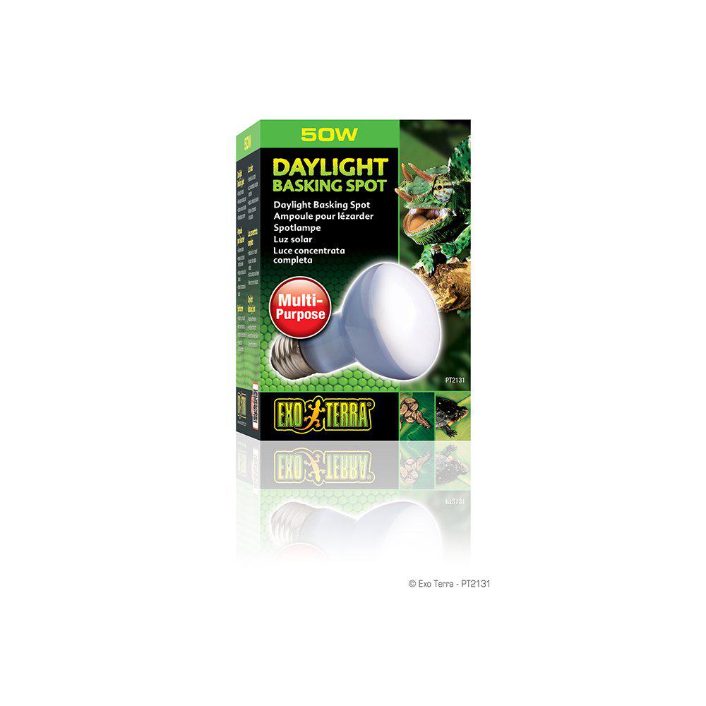Daylight Basking Spot 50W R20 E27 Exoterra' Green '-Terrarie Spotlight-Exoterra-PetPal
