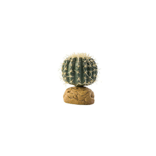 Ball Cactus Small Desert Plante Exoterra 7X7X9Cm-Terrarie Dekorationer-Exoterra-PetPal