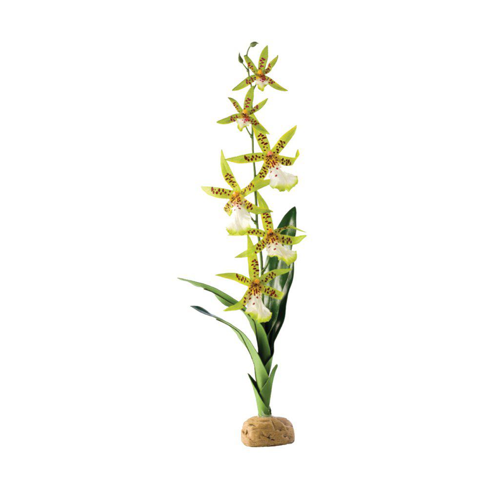 Orkide Regnskov Plante Exoterra 13X8X43Cm-Terrarie Dekorationer-Exoterra-PetPal