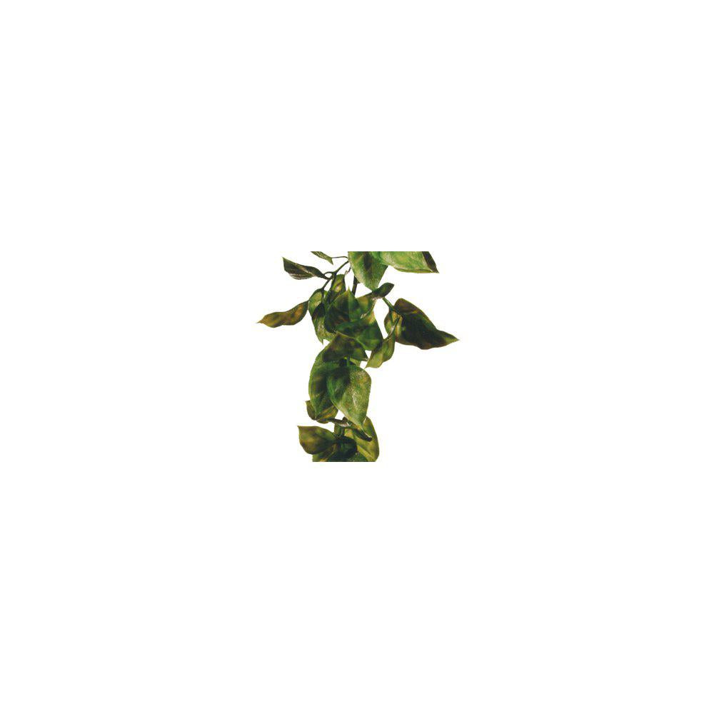 Amapallo'S Plastplant Exoterra-Terrarie Dekorationer-Exoterra-PetPal