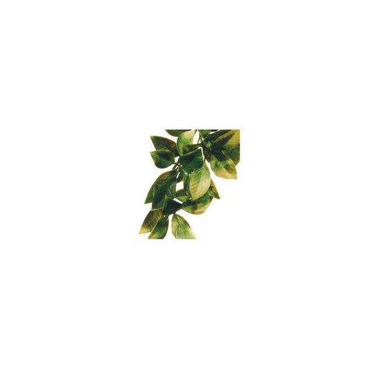 Mandarin L Plastplant Exoterra-Terrarie Dekorationer-Exoterra-PetPal