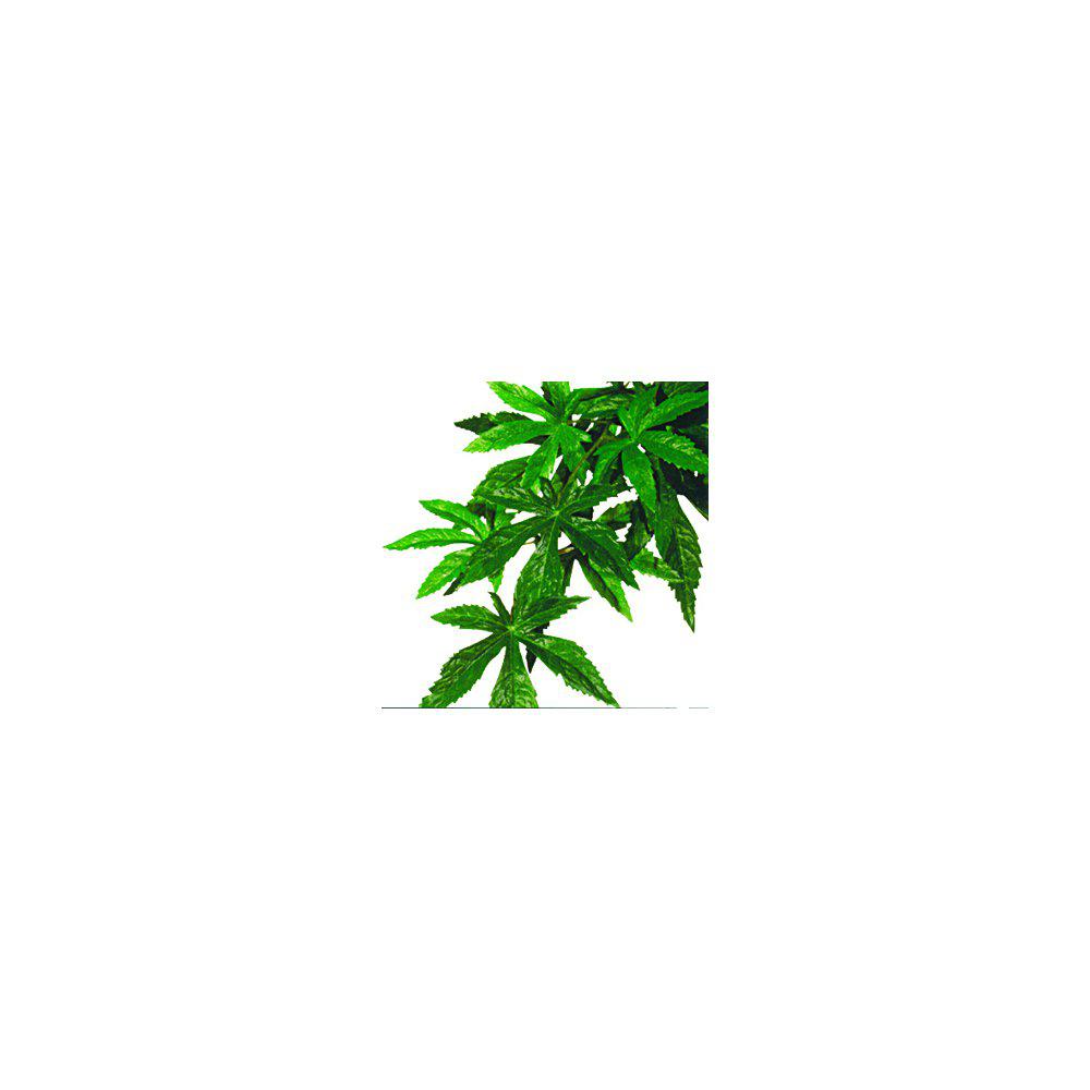 Abutilon M Plastplant Exoterra-Terrarie Dekorationer-Exoterra-PetPal