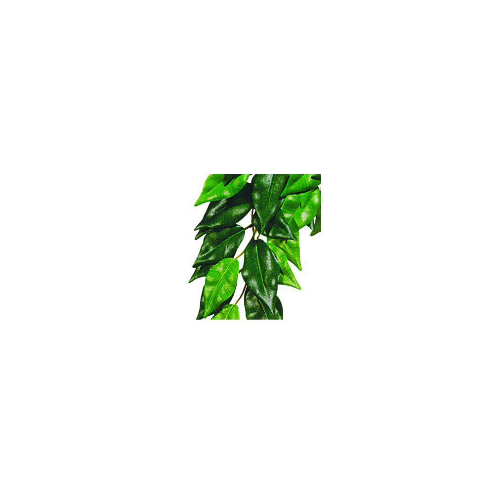 Ficus L Plastplant Exoterra-Terrarie Dekorationer-Exoterra-PetPal