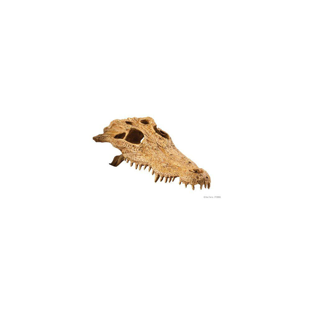 Fantastisk Krokodille Cranium Exoterra-Terrarie Skjul-Exoterra-PetPal