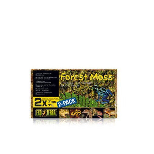 Forest Moss 7L Exoterra Terrarie moss-Bundmateriale Reptile-Exoterra-PetPal