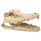 Rp Small Crocodile Skal 13 8X6 8X6 5Cm-Grottor Reptil-Petpal Dk-PetPal