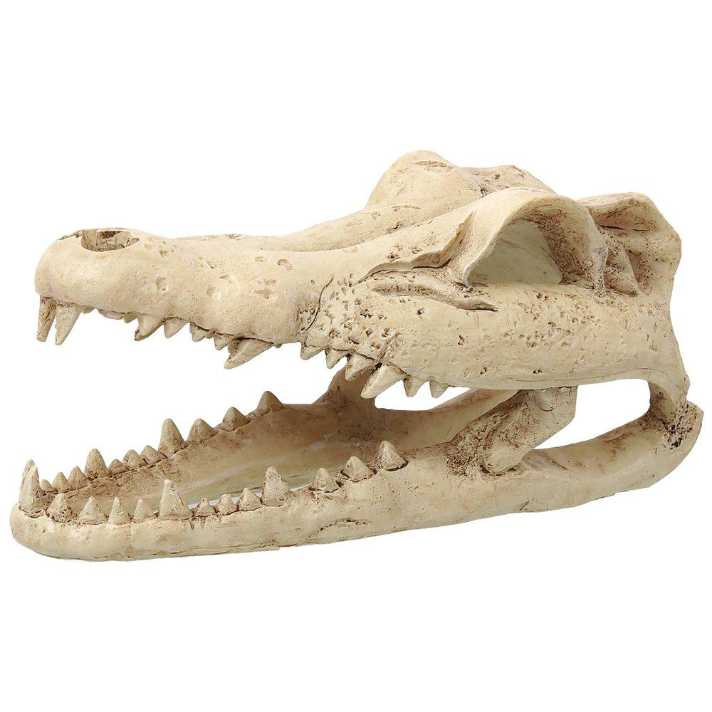 Rp Small Crocodile Skal 13 8X6 8X6 5Cm-Grottor Reptil-Petpal Dk-PetPal