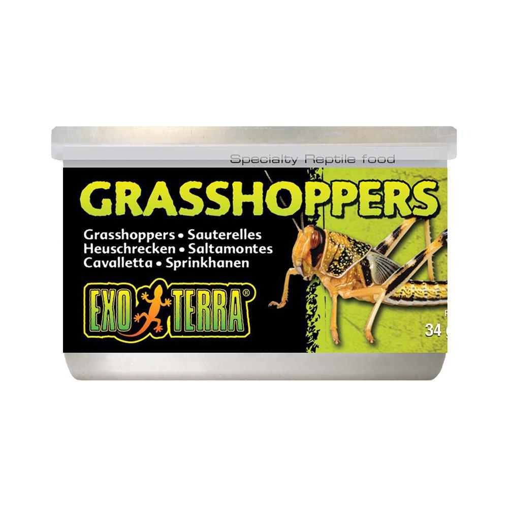 Græshopper 34Gr Konserveret-Foderdyr-Exoterra-PetPal