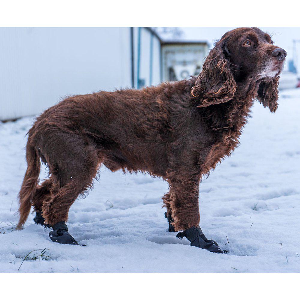Strømper Til Hund - Hundesko 4Stk M Sort-Sko-Ozami Hund-PetPal