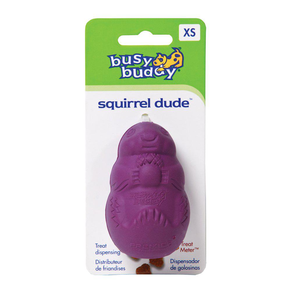 Busy Buddy Squirreldude Hundelegetøj Xs-Gummilegetøj-Busy Buddy-PetPal