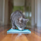 Lickimat Cat Buddy Lyseblå 20X20Cm Slow Feed Aktivitetsmåtte Alternativ Til Foderskål-Lick Mats Kat-Licki Mat-PetPal