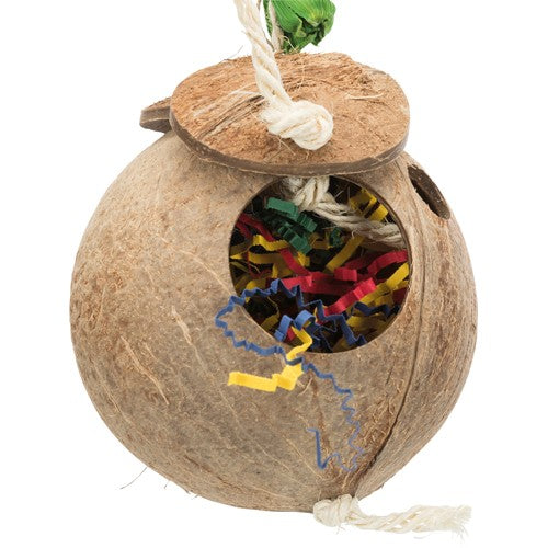 Coconut on sisal rope, 35 cm