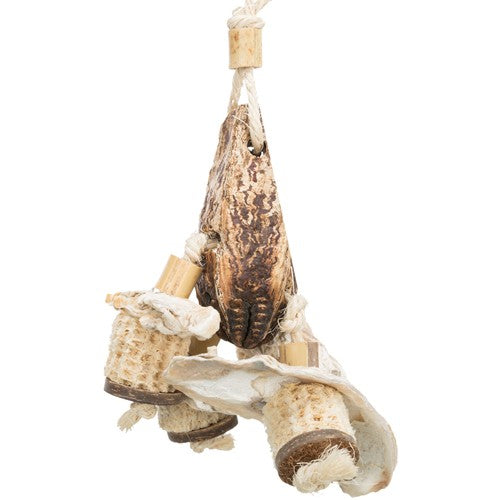 Natural toy, mahogany pod/sea shells, 26 cm
